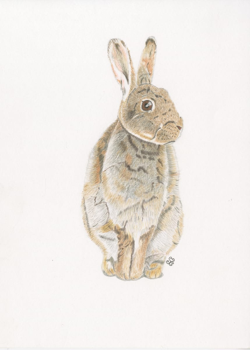 The Thankful Visitor 