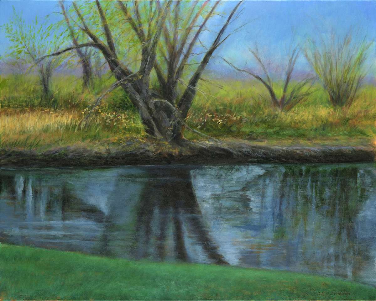 Spring Courtcliff Park, Image 1.