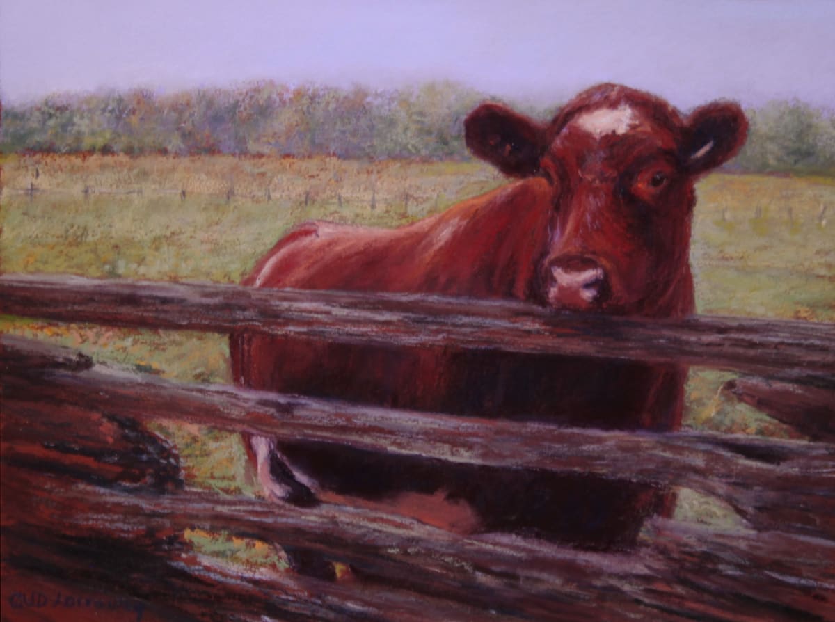 A Curious Cow, Image 2.
