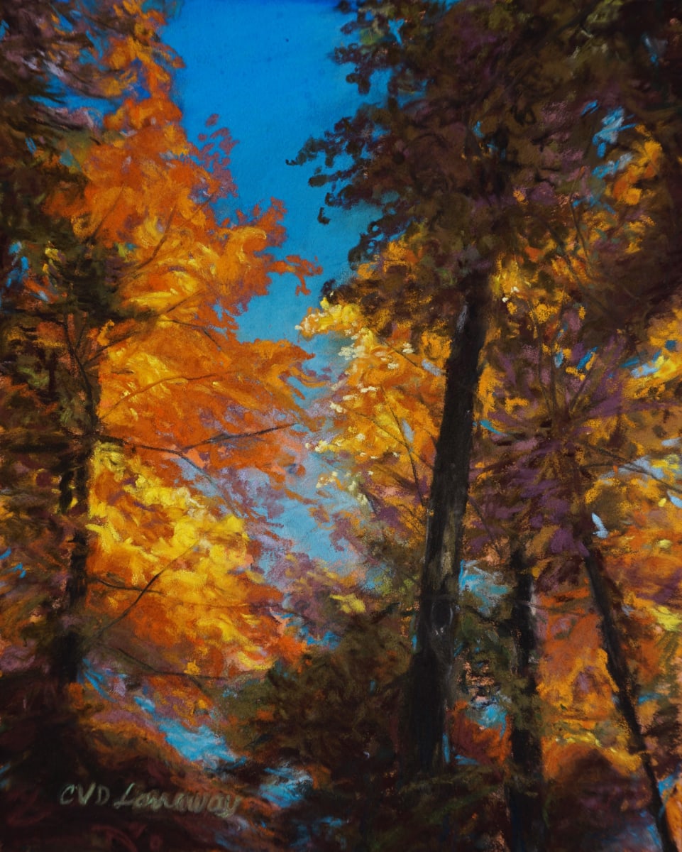 Sunny Fall Day 