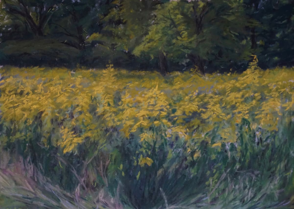 Fields of Goldenrod 