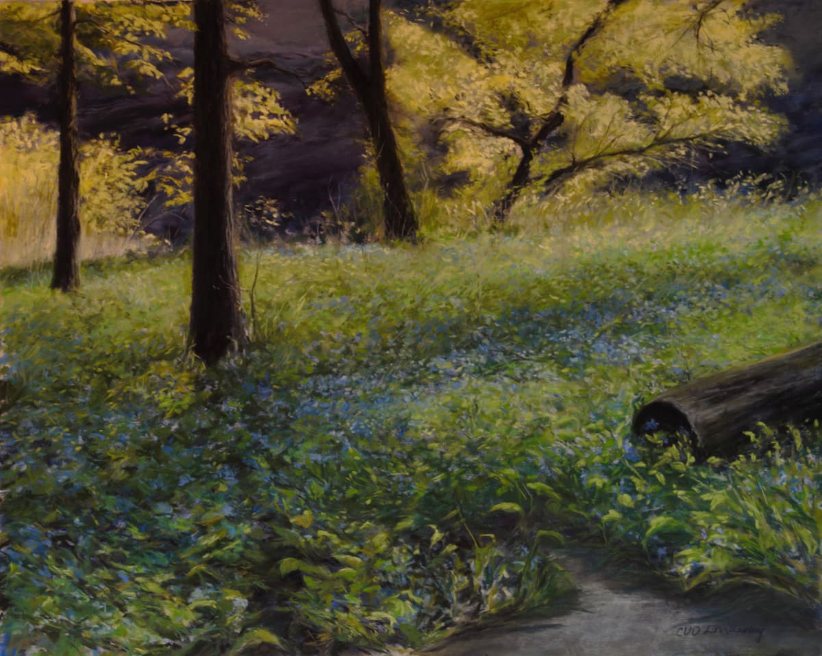 Spring Sixteen Hollow Park Ravine by Cathy Lorraway Art 