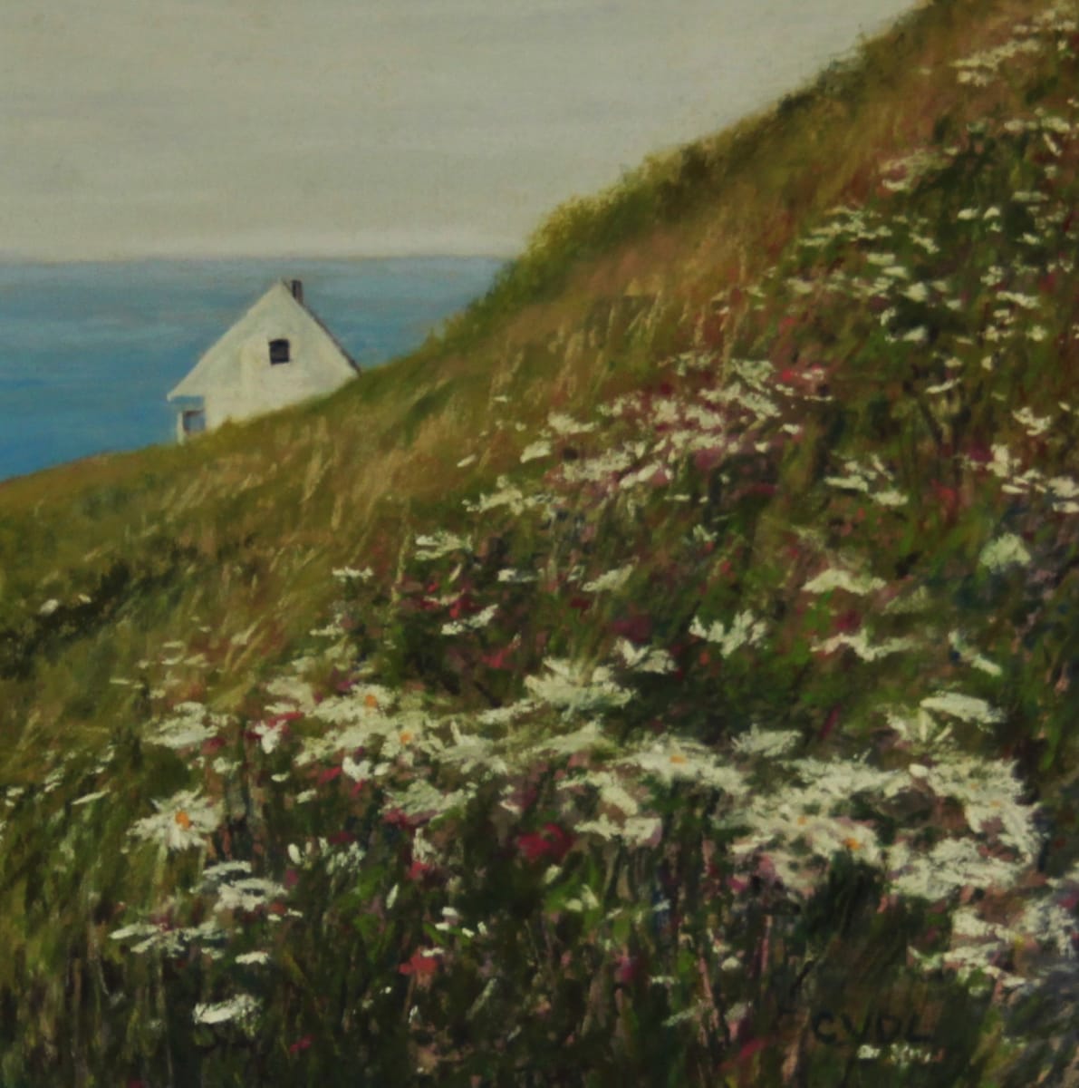 House on the Hill, Newfoundland by Cathy Lorraway Art 