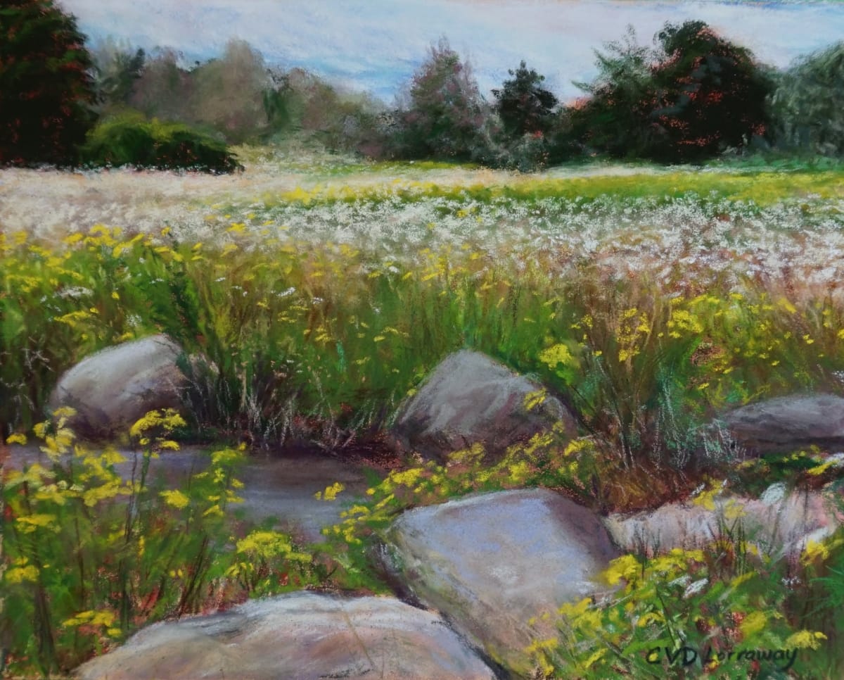 Midland Summer Wildflowers 