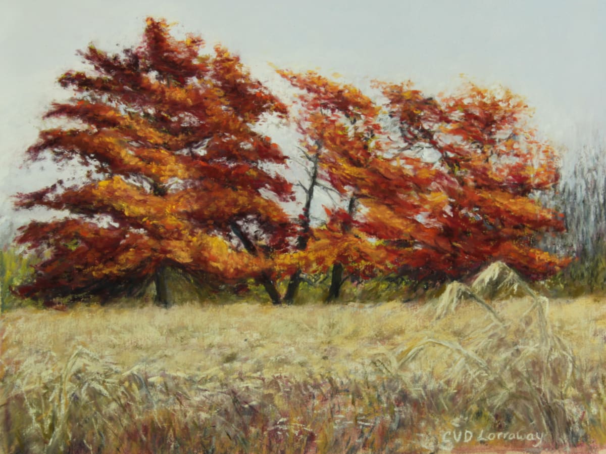 Fall Princess Point Series 3 by Cathy Lorraway Art 