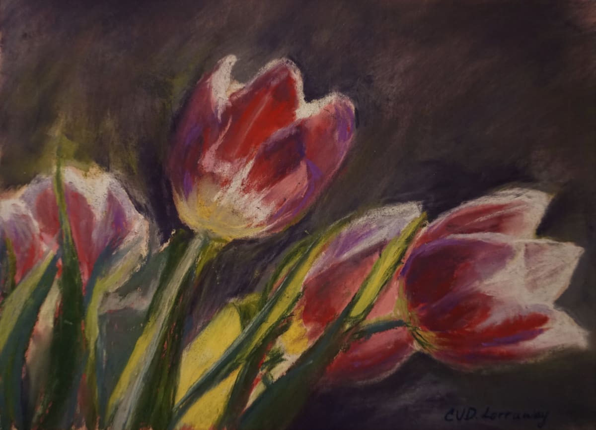 Purple Tulips 