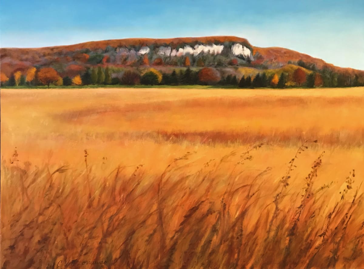 View of Rattlesnake Point by Cathy Lorraway Art 