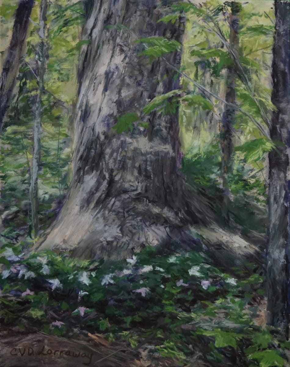 Trillium Tree by Cathy Lorraway Art 