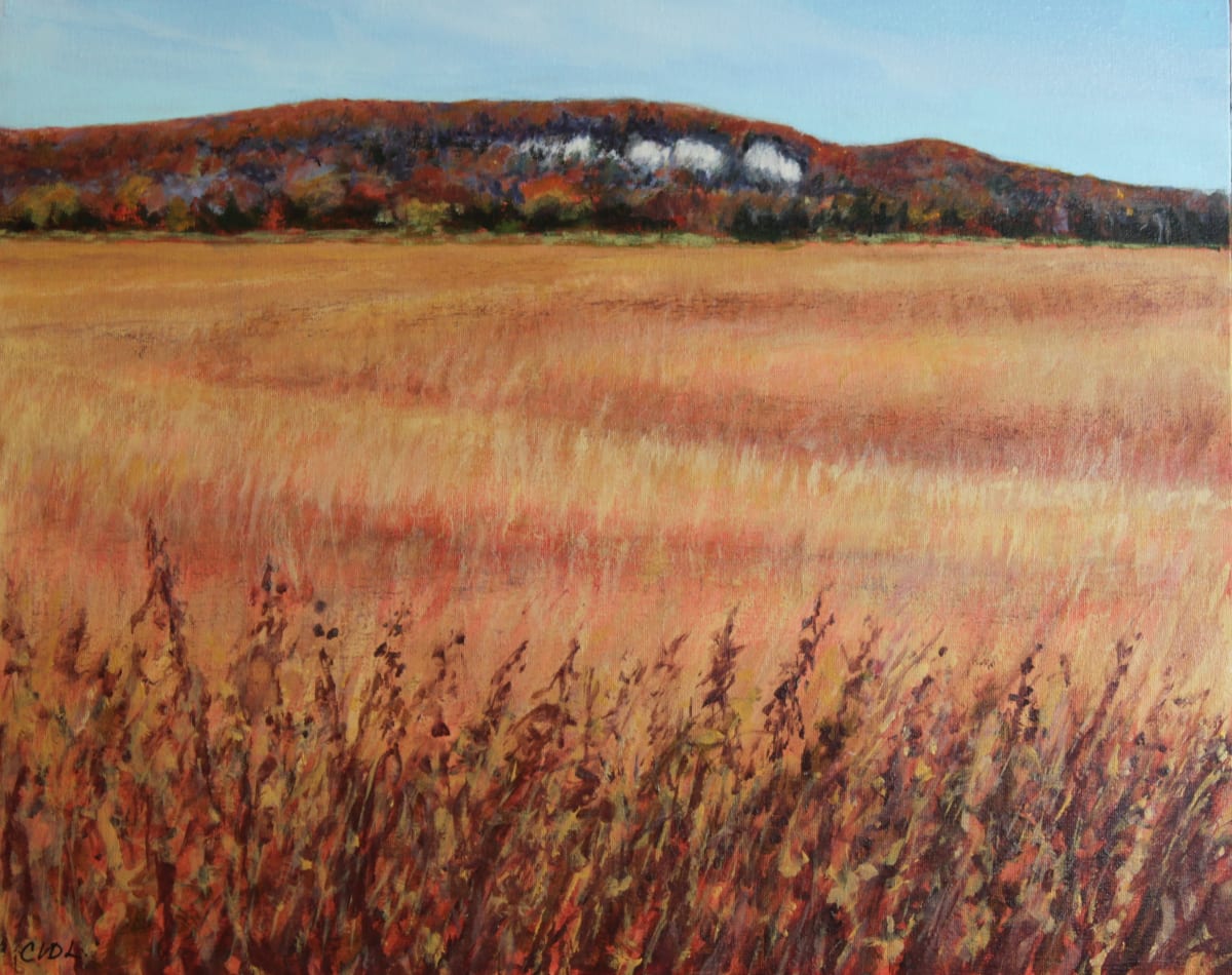 Rattlesnake Point, Image 1.