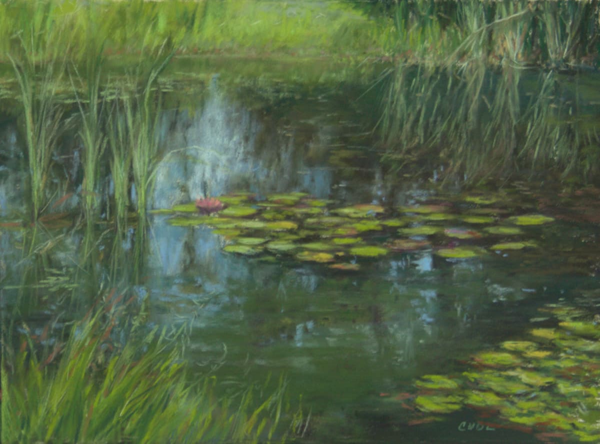 Waterlilies Plein Air by Cathy Lorraway Art 