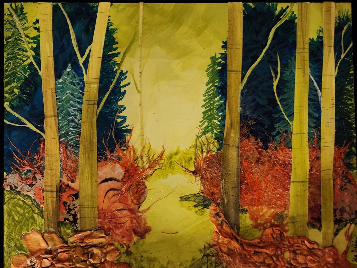 Forest Expanse by Jan M Garvin 