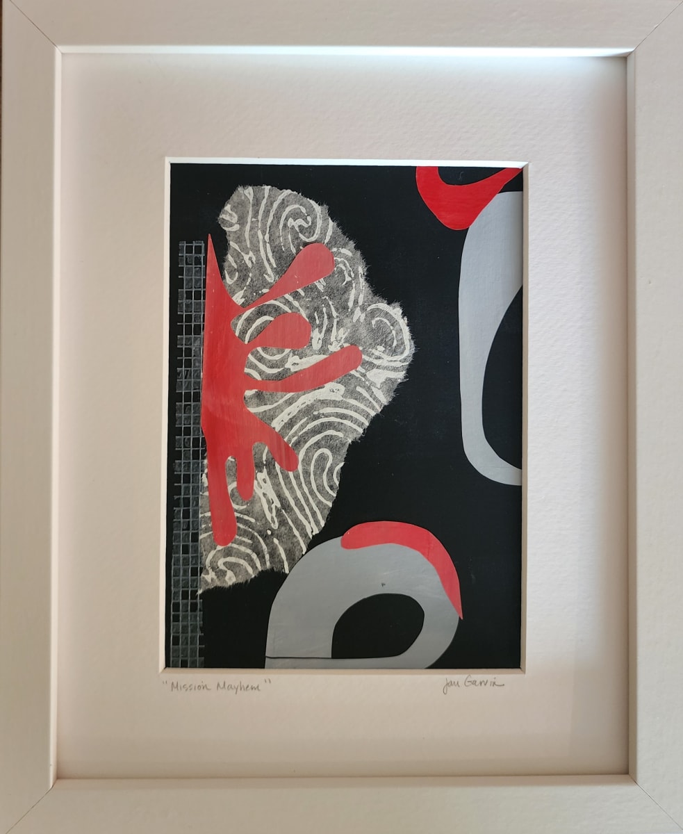 Mission Mayhem by Jan M Garvin 