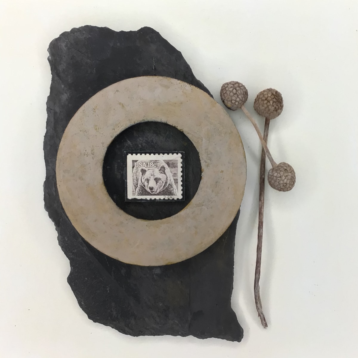 Bear in Washer by Richard B. Aakre 