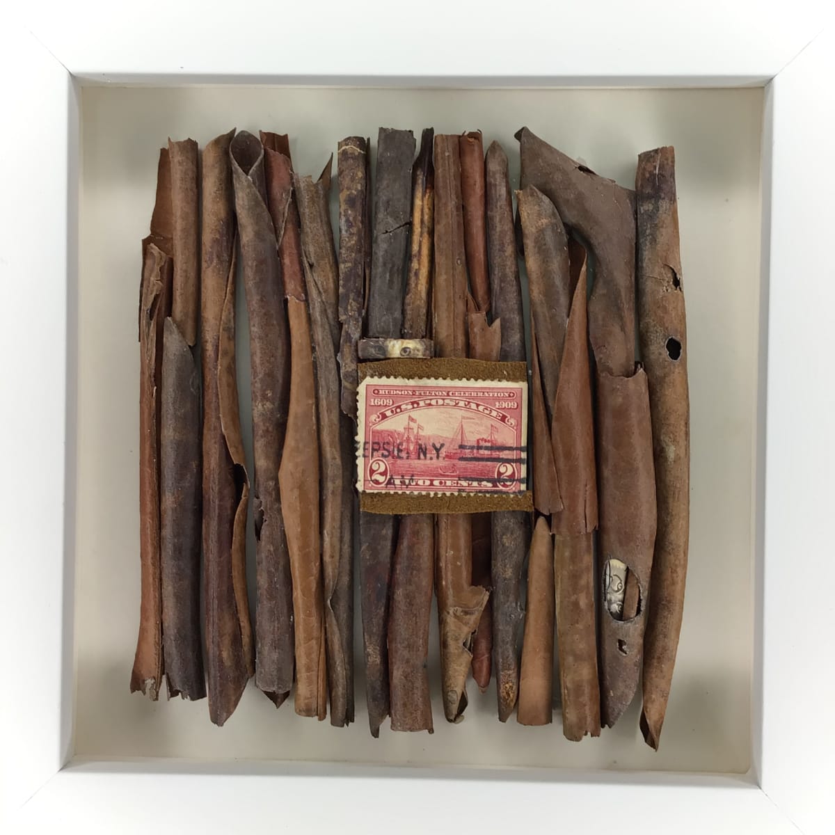 "Hudson Fulton Celebration" 