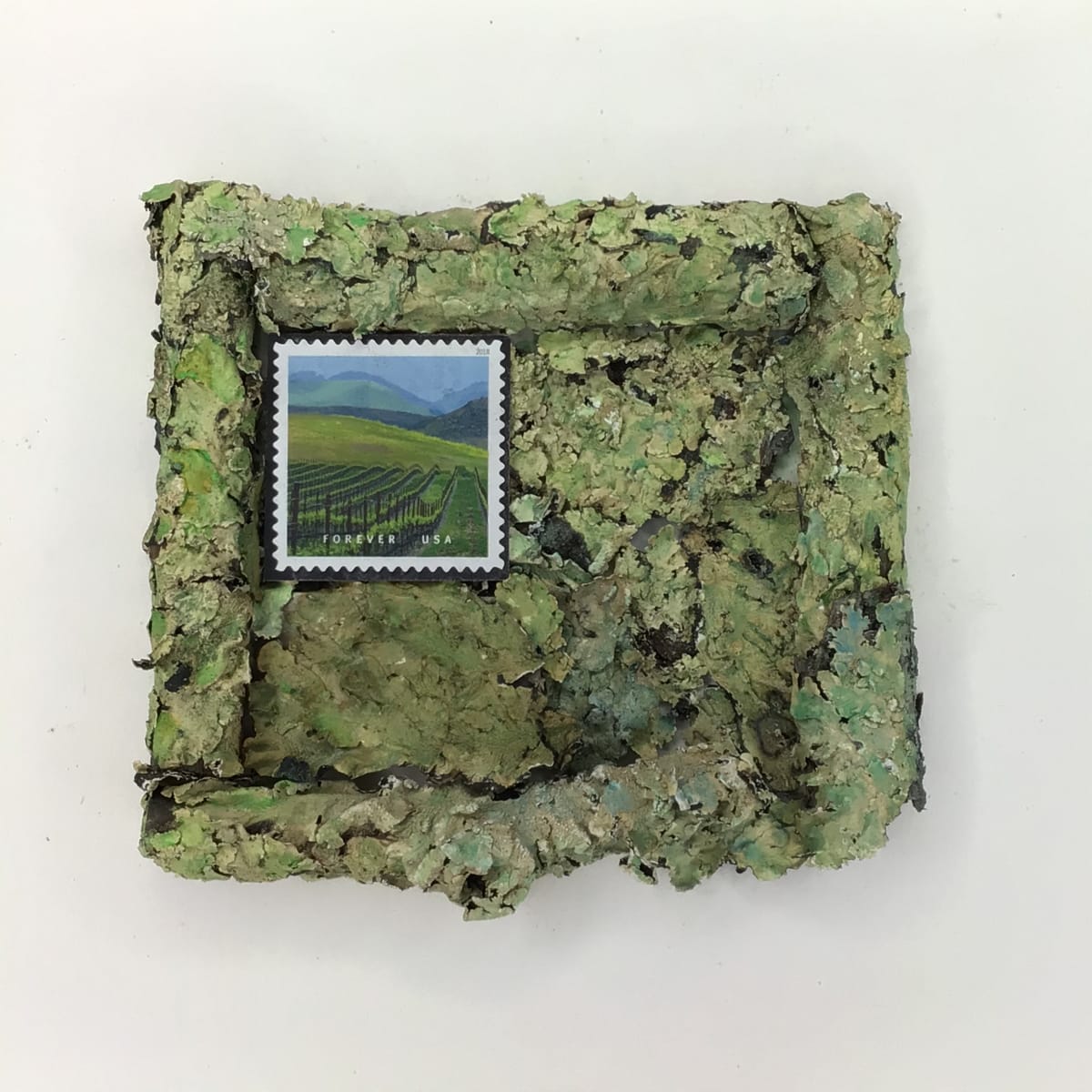 Green Lichens with Vineyard 