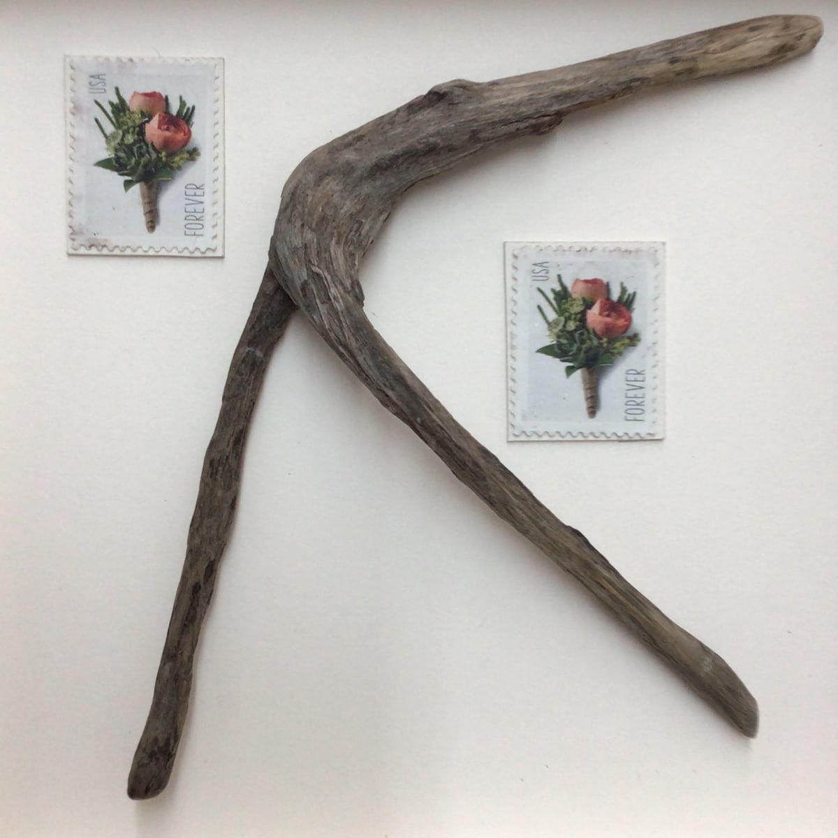 Willow Dancer, Image 1.