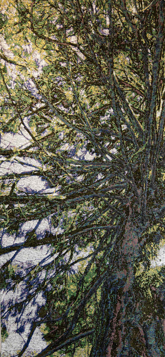 Spire by Cathryn Amidei, Image 3.