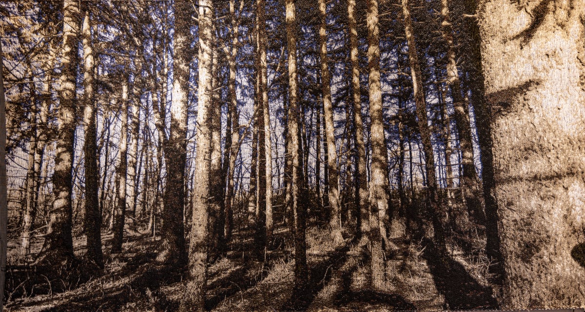 Solstice remembers the Equinox by Cathryn Amidei 