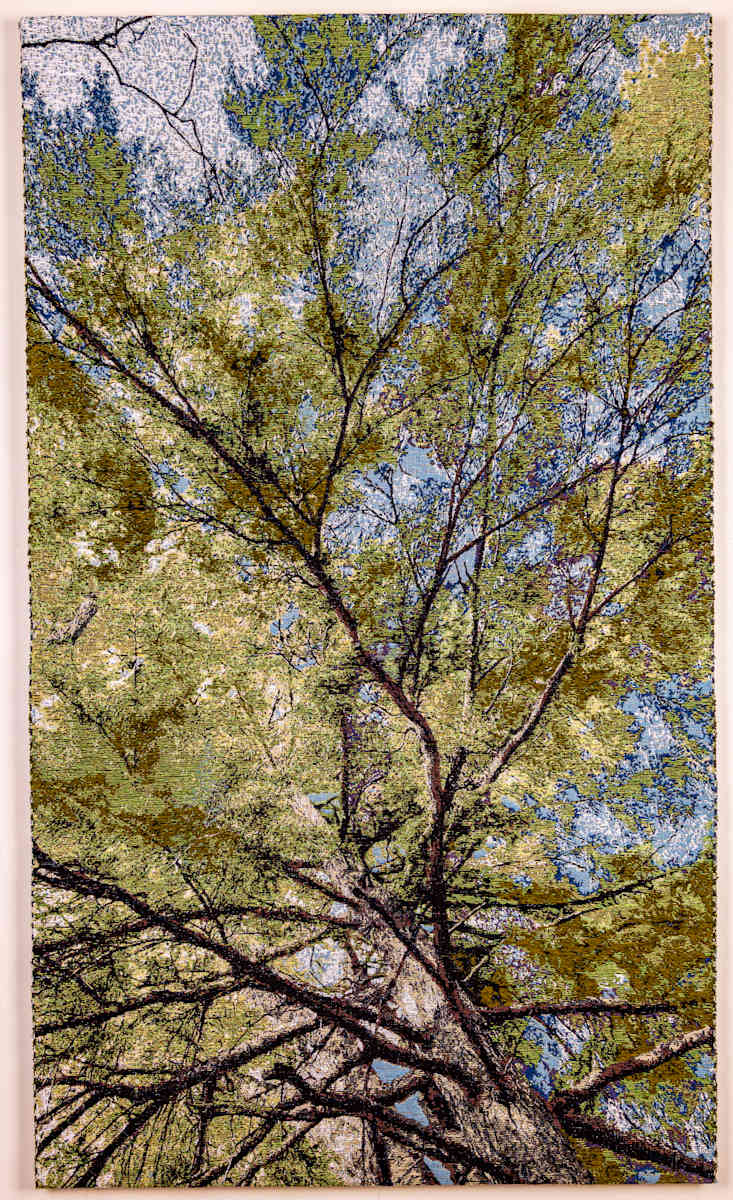 Unbalanced When I Look Up by Cathryn Amidei 
