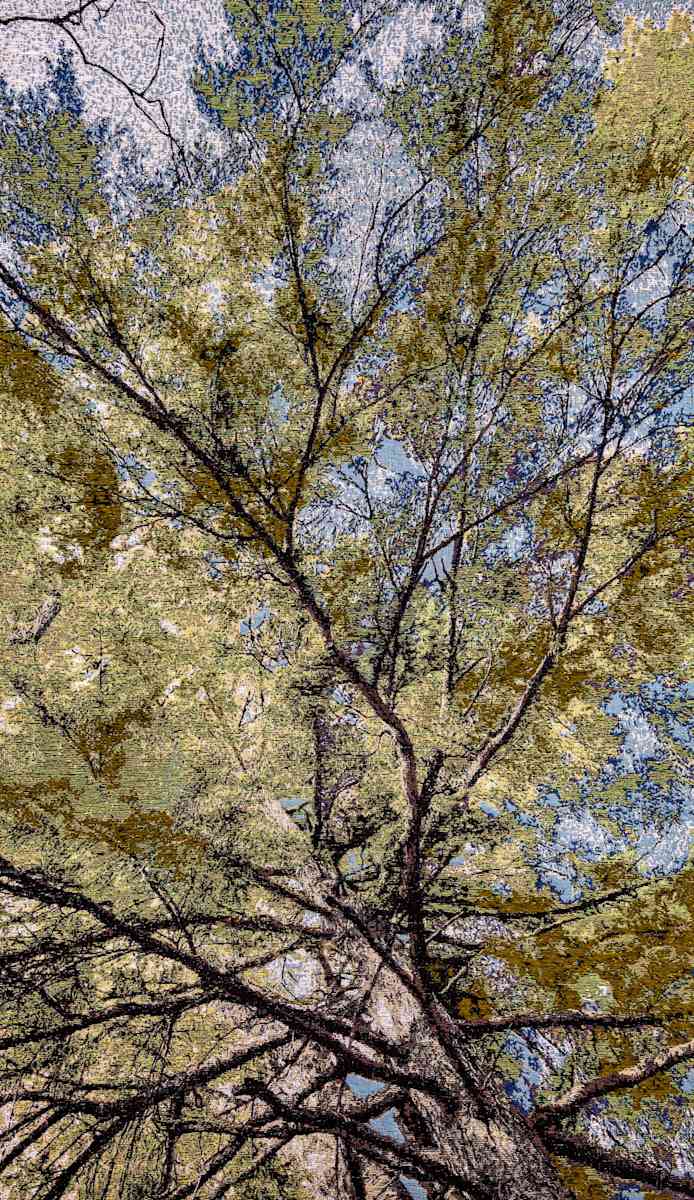 Unbalanced When I Look Up by Cathryn Amidei, Image 2.