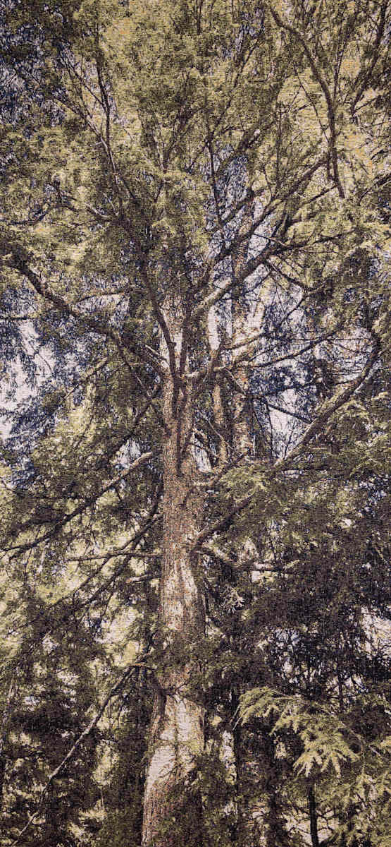 Unexpected Encounter by Cathryn Amidei 