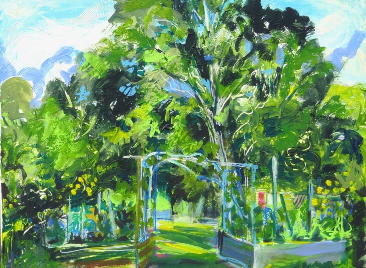 View from the Studio 