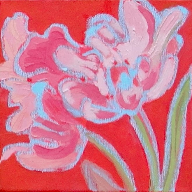 Pinks by Flora Doehler 