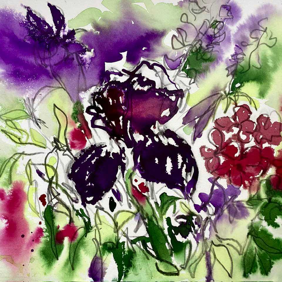 Iris in June by Flora Doehler 