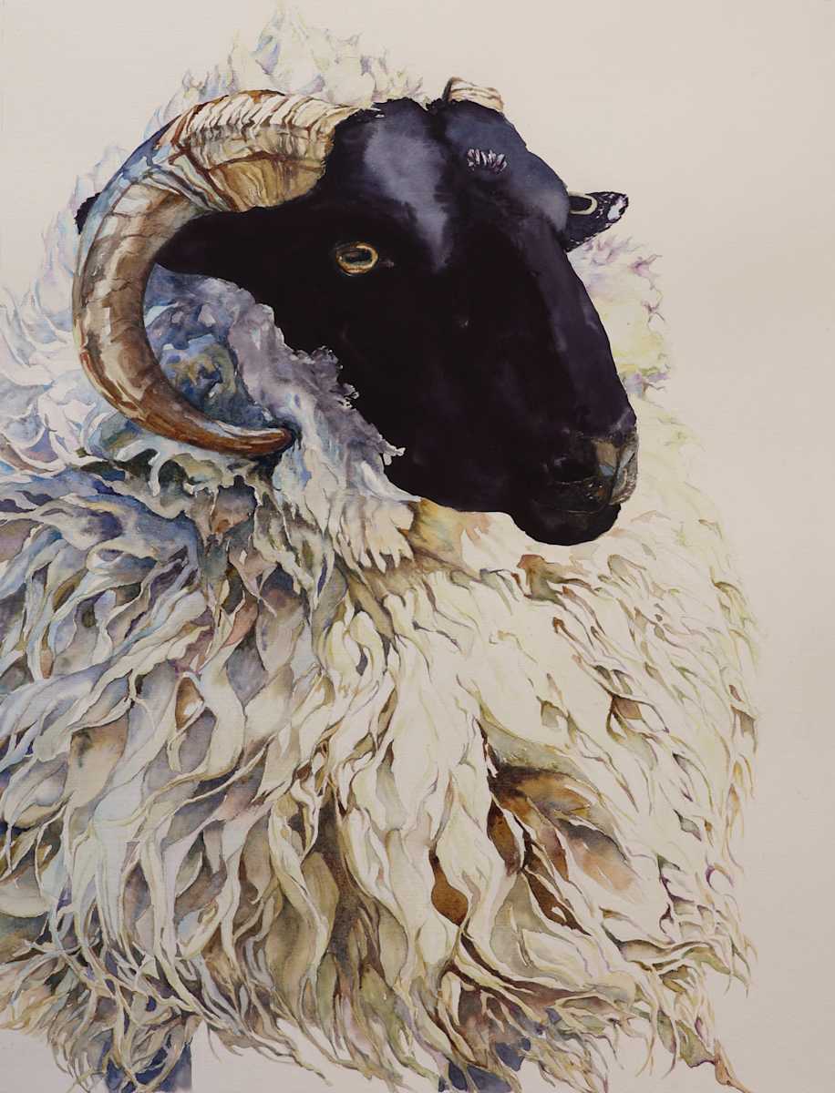 Nina's Sheep - Portrait of Malik by Susan L. Johnson Art 