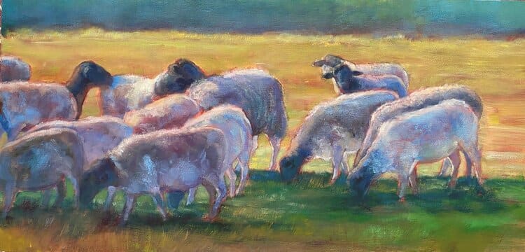 Lazy day Grazers by Crystal Beshara 