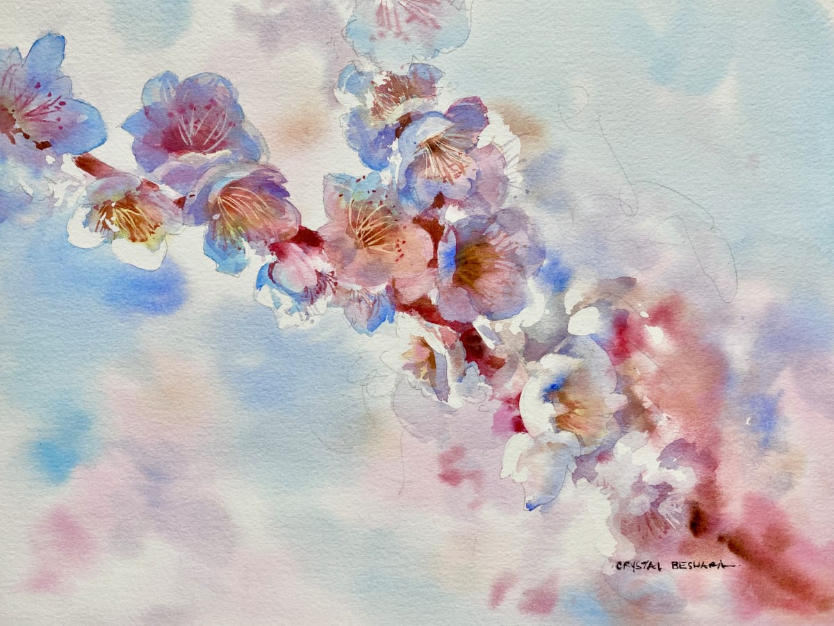 Darling Buds of May (apple blossoms) by Crystal Beshara 