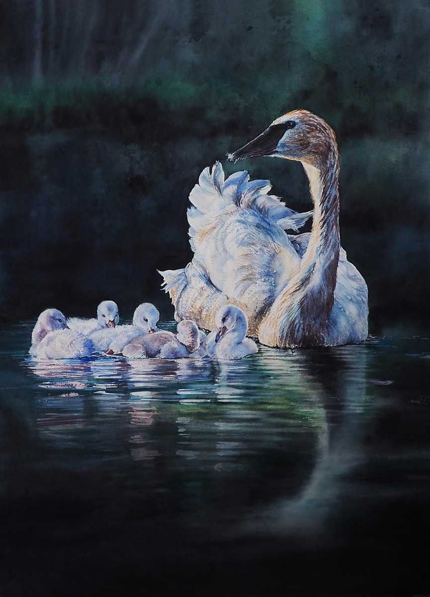 Fledgling Swimmers by Crystal Beshara Fine Artist, Image 1.