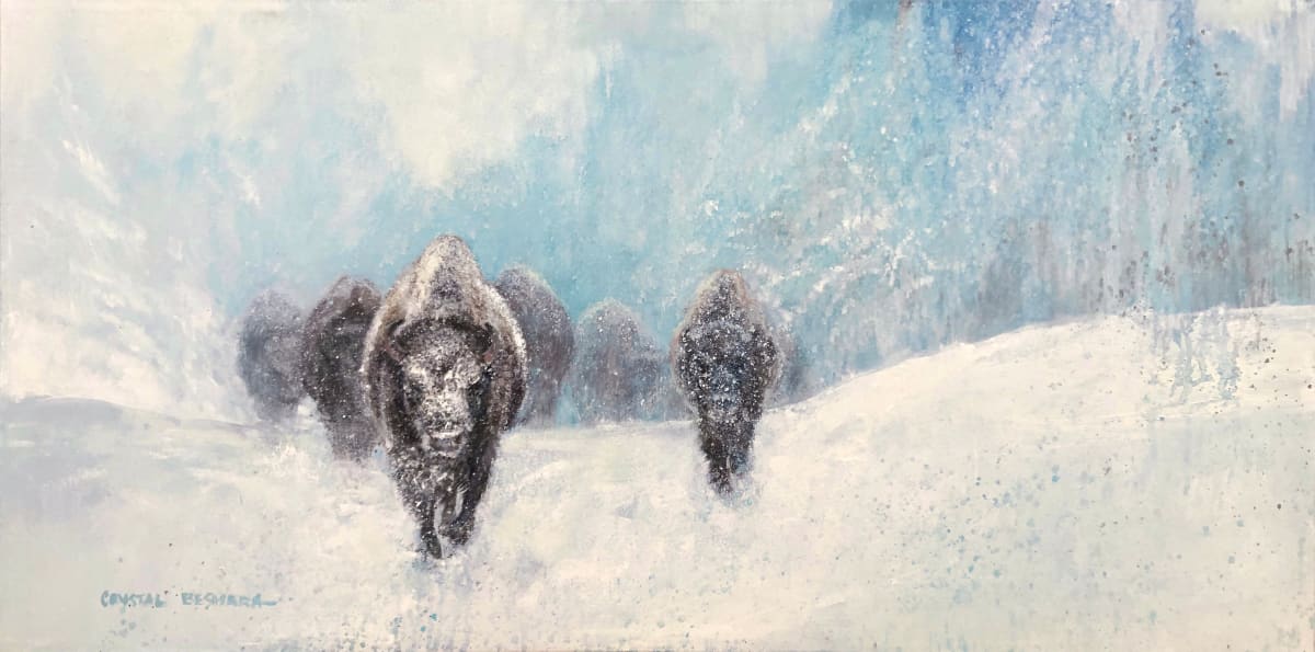 Emergence  Image: Bison emerging from a blizzard  Quebec