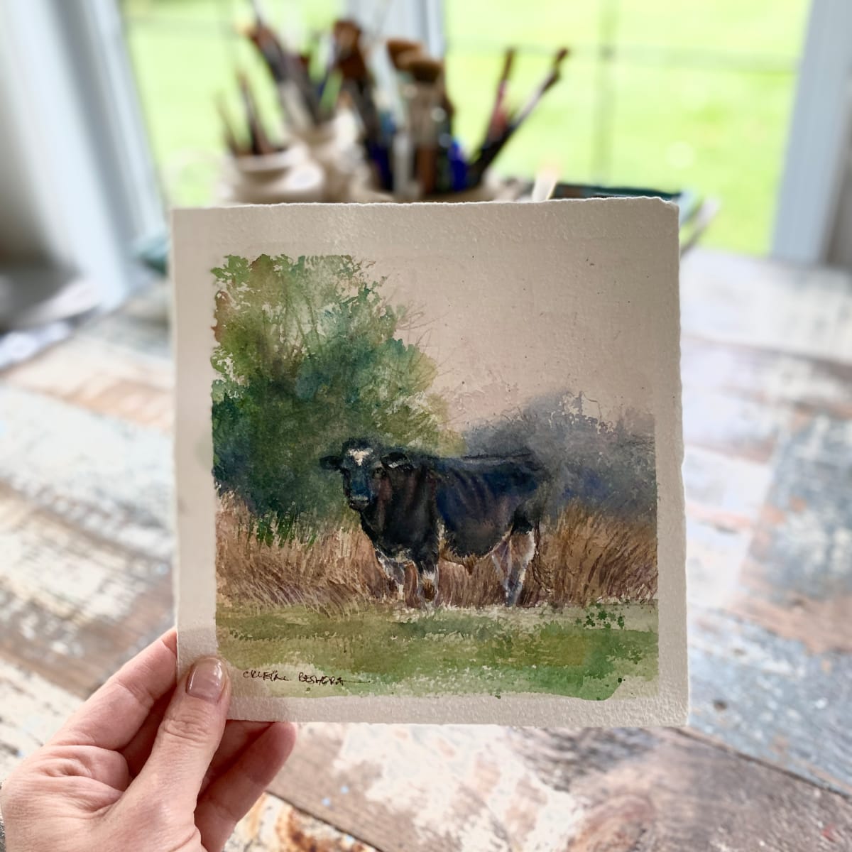 holstein bull study by Crystal Beshara Fine Artist, Image 1.