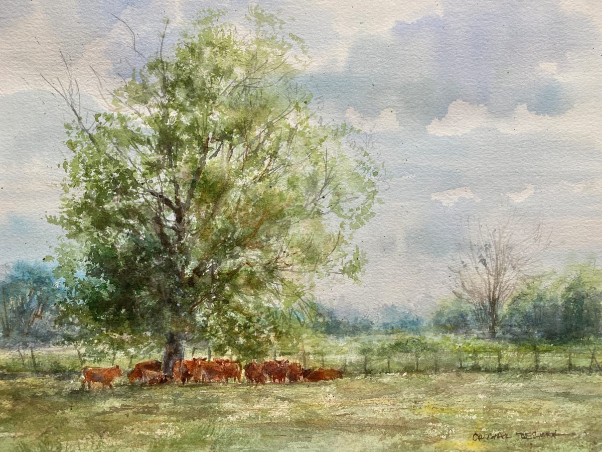 Canopy with Red Angus by Crystal Beshara 