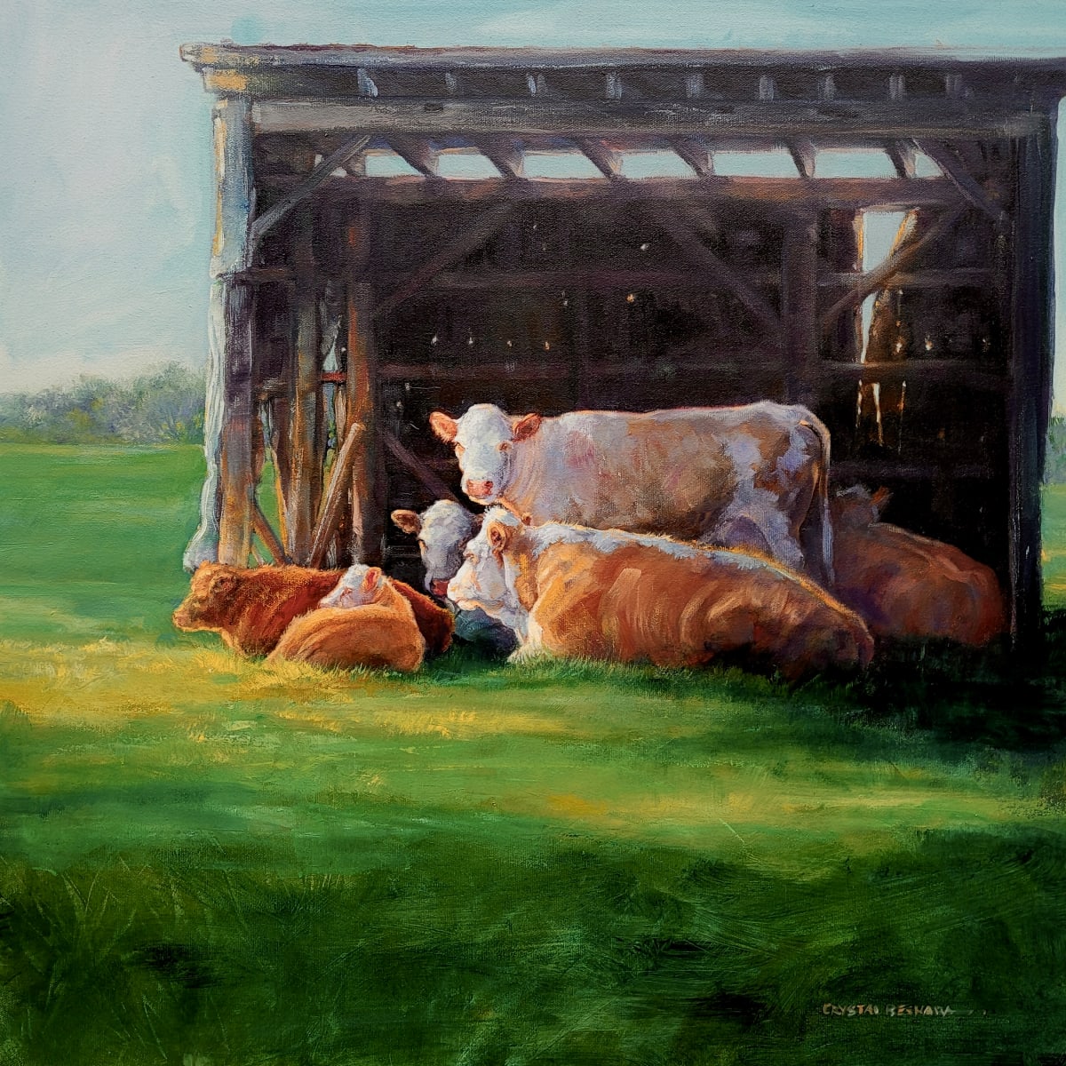 Facing The Afternoon Sun by Crystal Beshara 