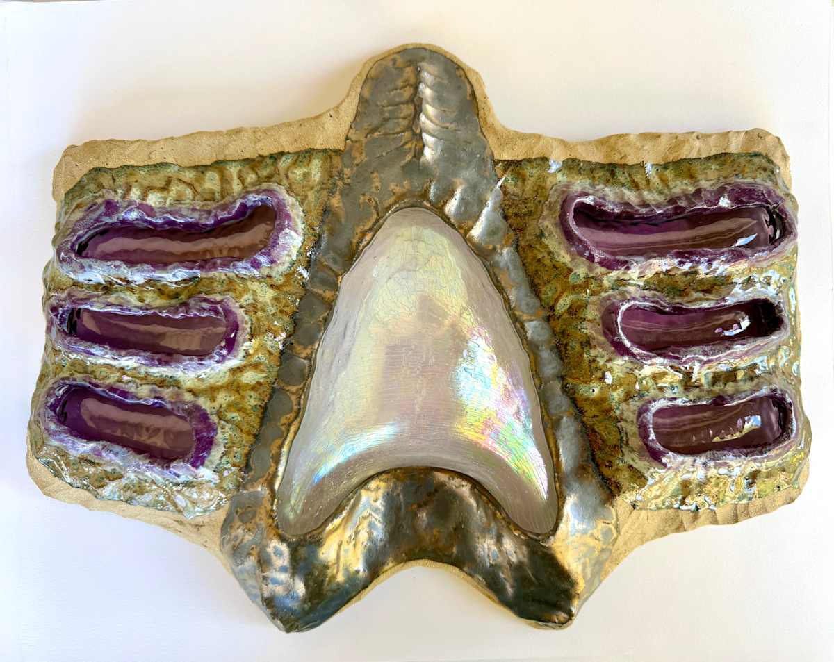 Wide wings by Kelly Witmer, Image 15.