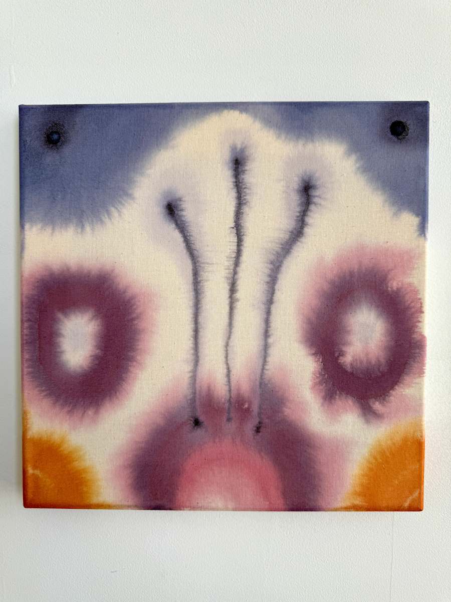 Inquiry by Kelly Witmer, Image 2.