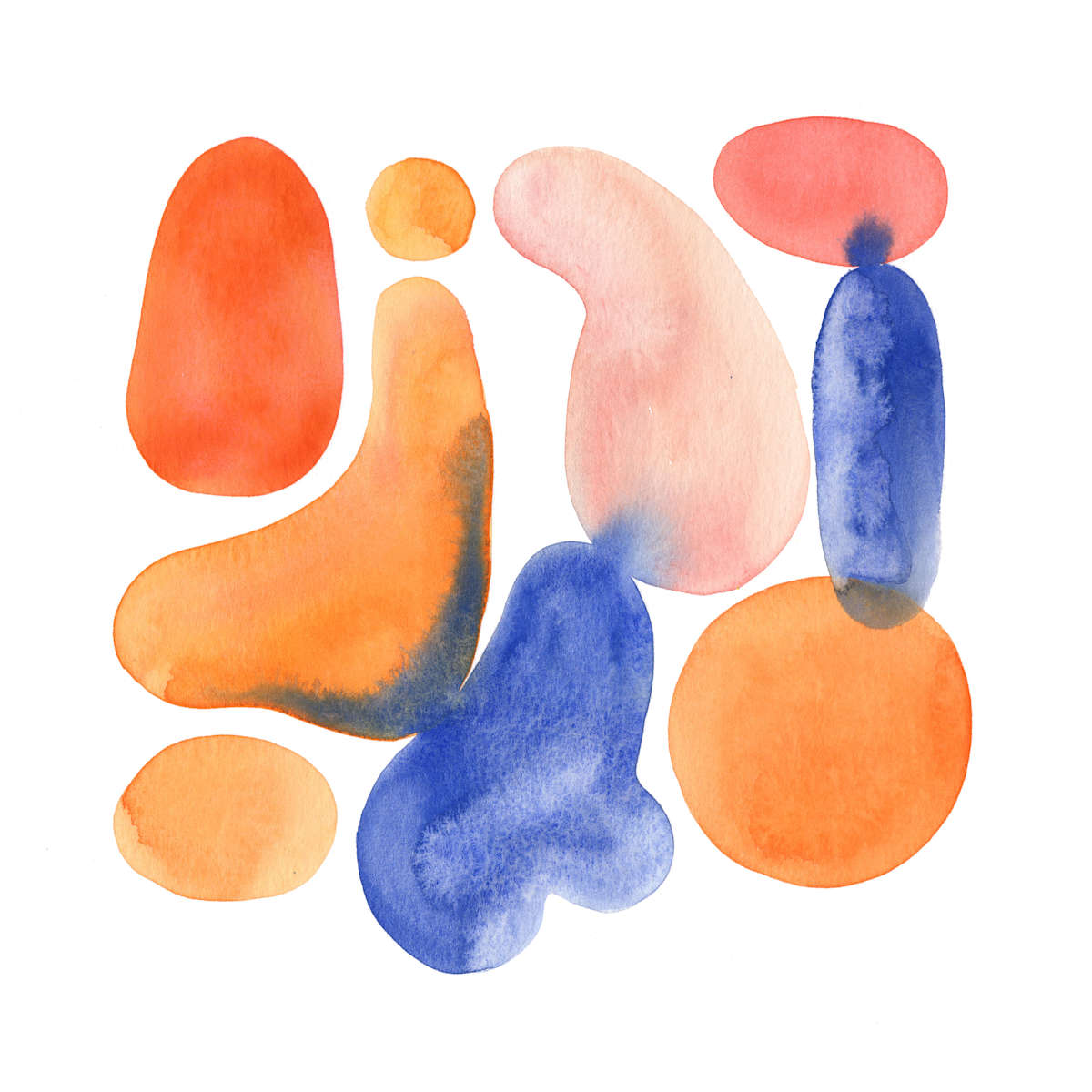 order, Image 6.