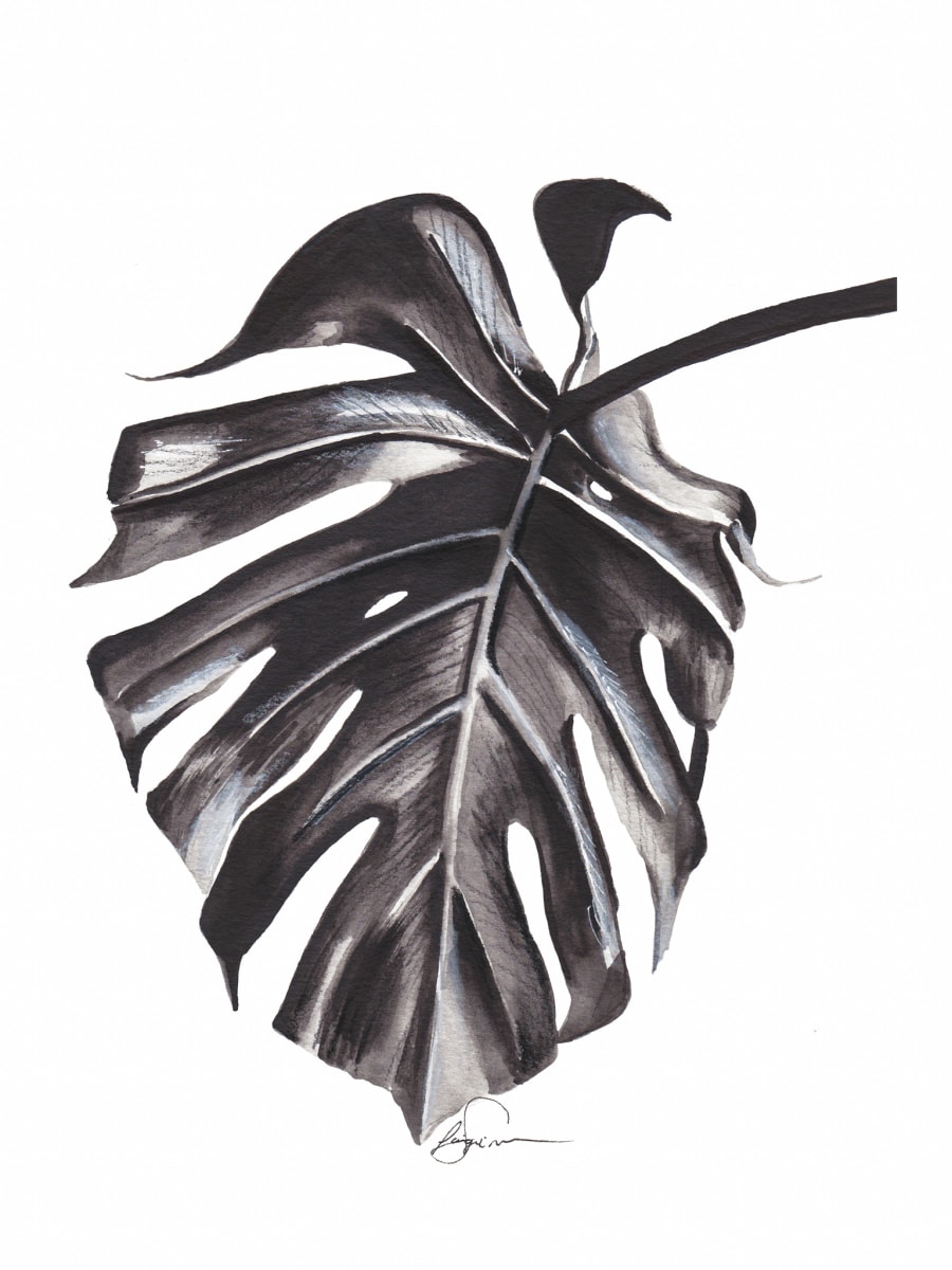 Black and white Monstera by Paige Simianer 