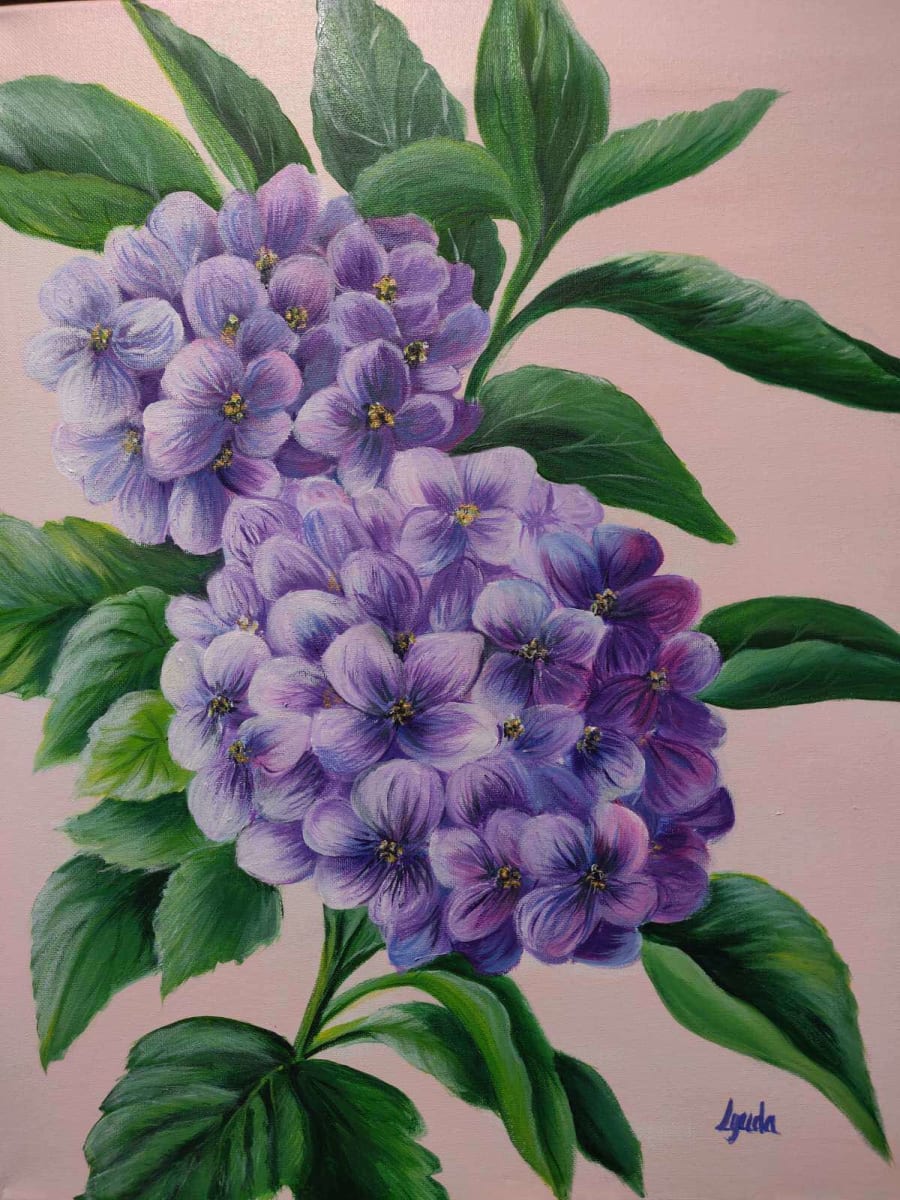 Hydrangea by Lyuda Morhun 