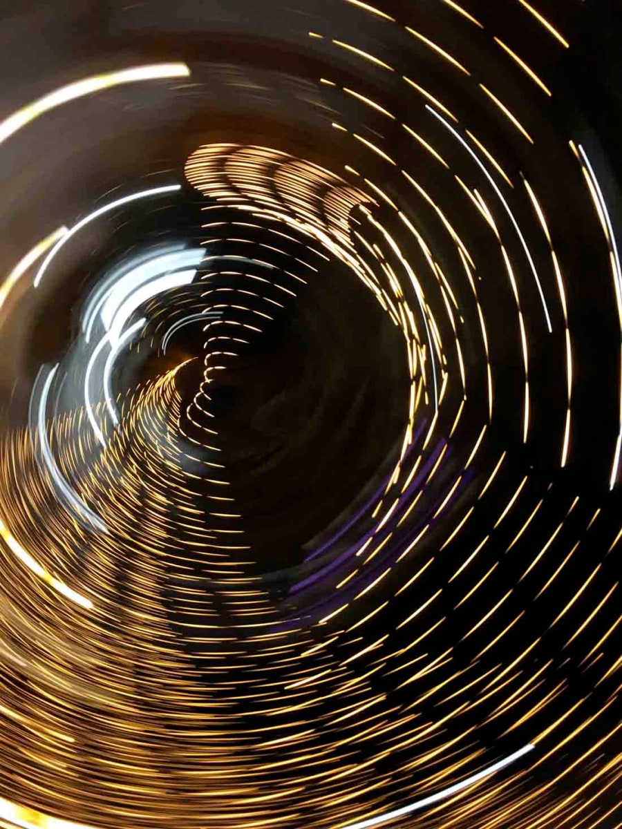 Wingspan by JP Trostle 