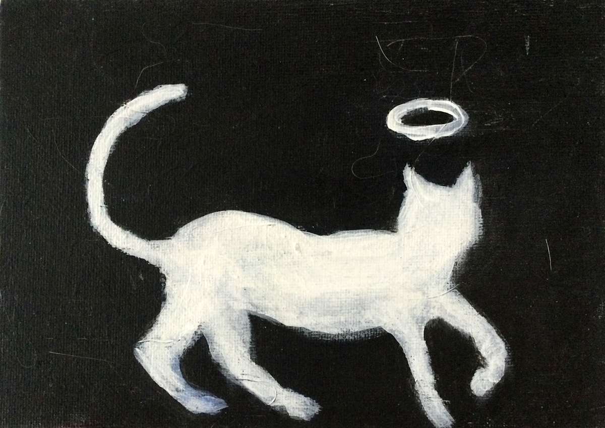 Ghost Cat by Space Monkey, Image 1.