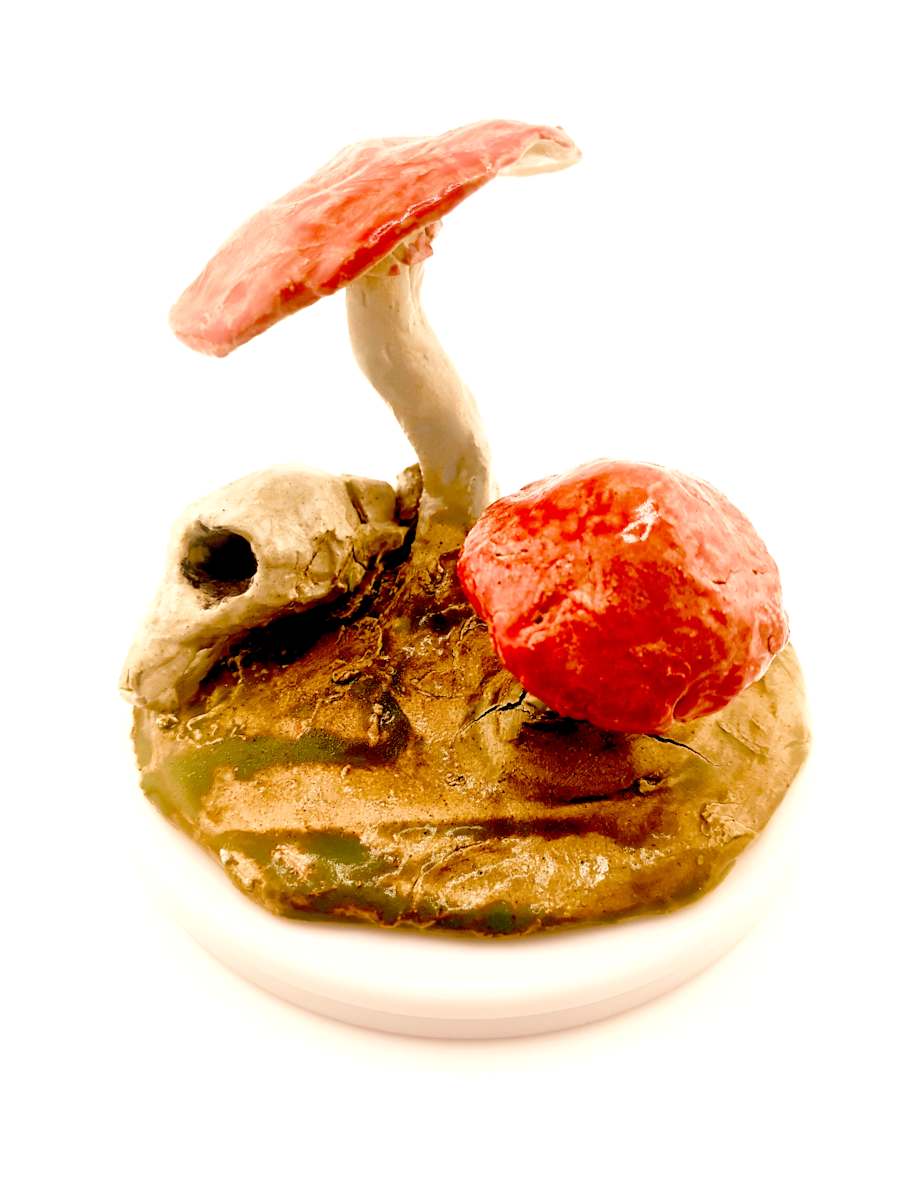 Tiny Landscape: Life Cycle by Space Monkey, Image 3.