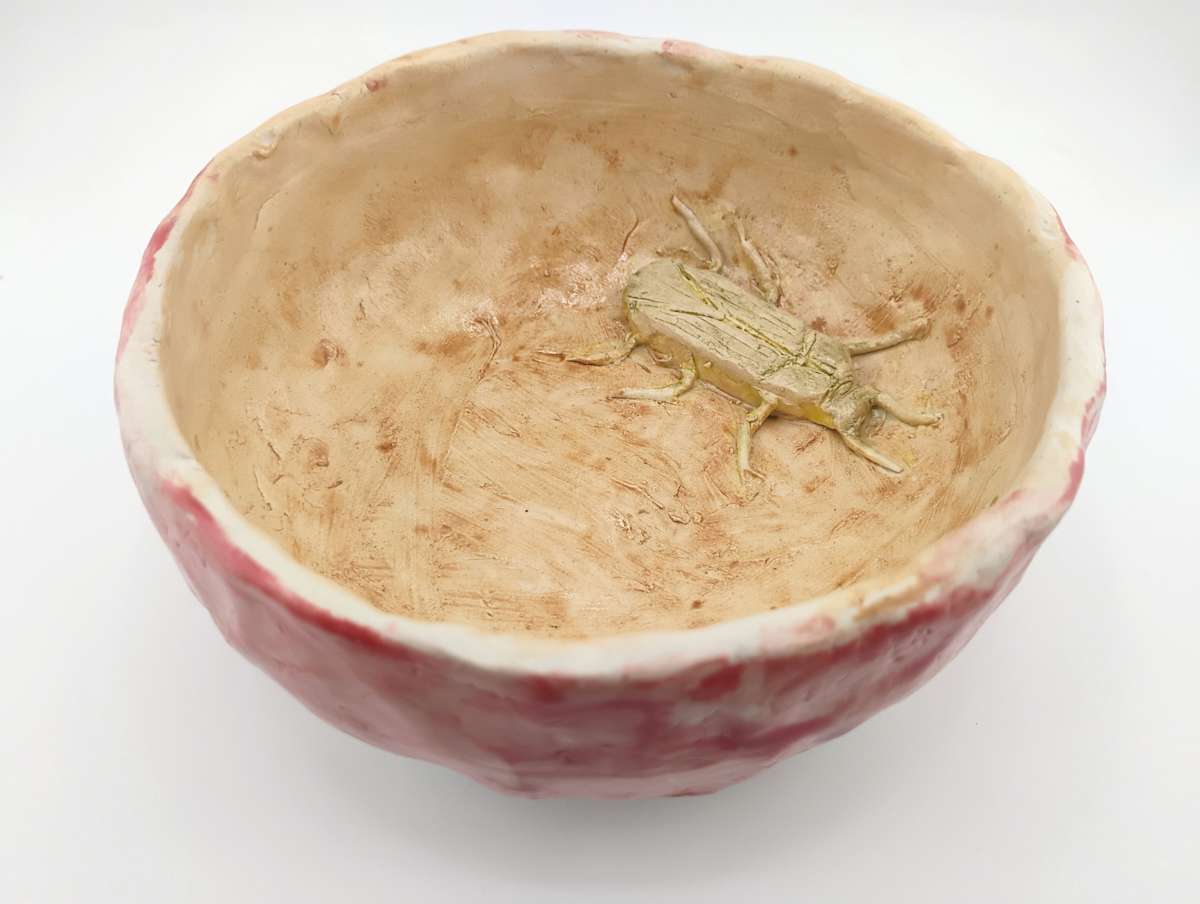 Bug Bowl by Space Monkey, Image 2.