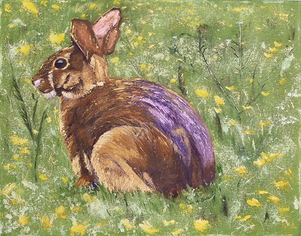 Bunny Innocence  Image: Bunny Innocence Oil On Canvas