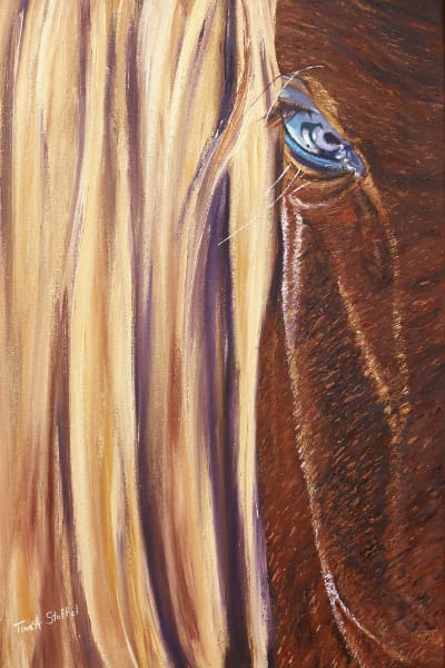 Shadowed Horse  Image: Shadowed Horse Oil Painting