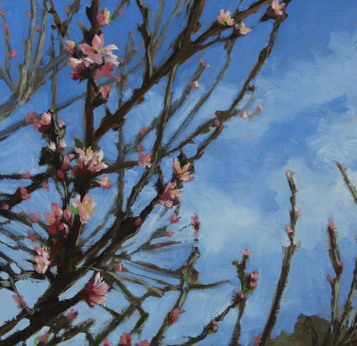 First Signs of Spring 