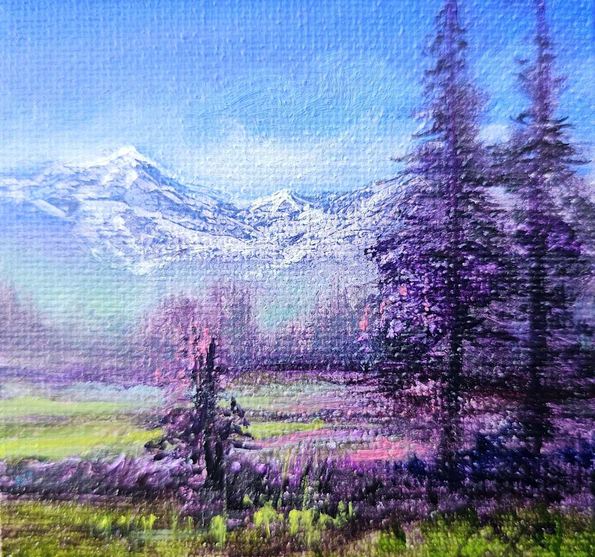 BB Kiona in Spring II by C J Elsip 