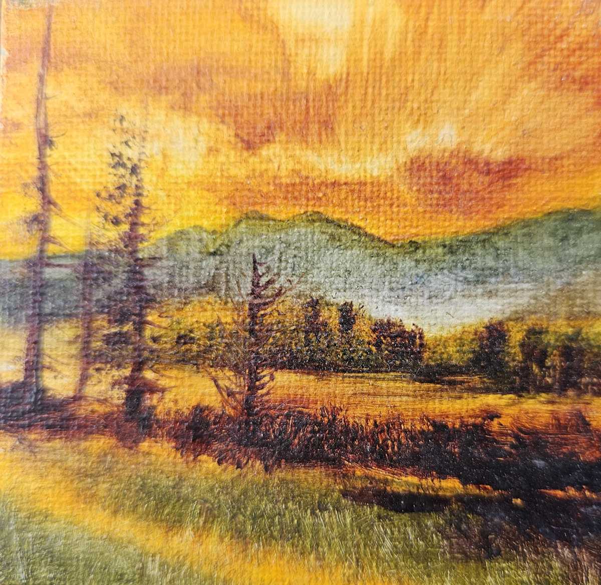 BB Kiona in Fall by C J Elsip 